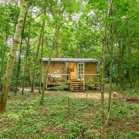 Villa Woodland Retreat Shepherds Hut Brundish Exterior foto